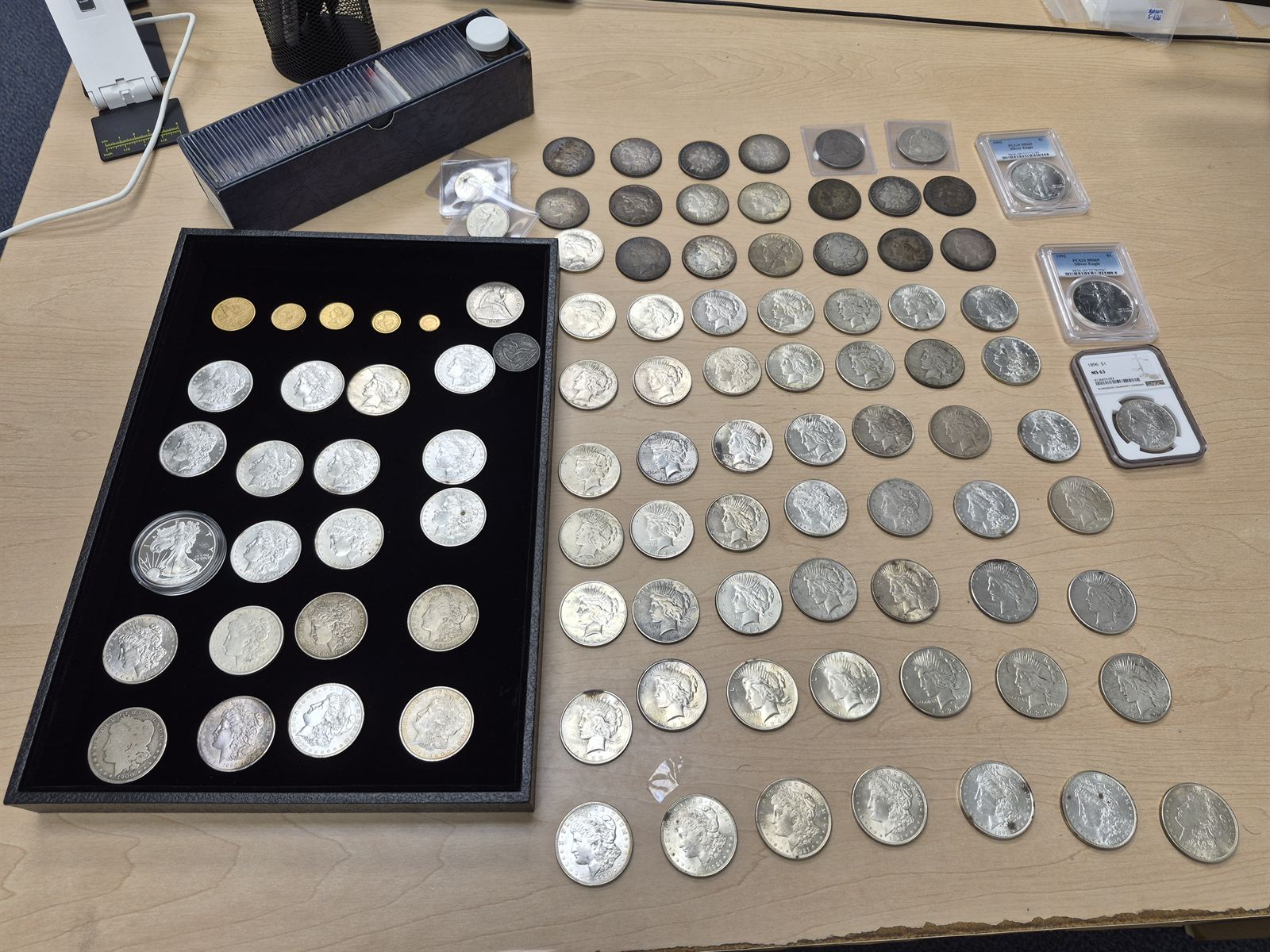 An estate-sized Charlottesville-area collection: silver dollars, fractional gold coins, and graded numismatic slabs sorted for evaluation